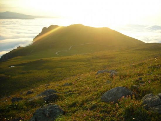 Bizim  Yayla