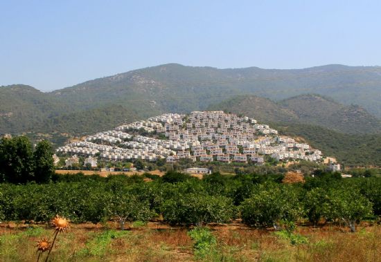 Tepeciin Bana Gelenler...