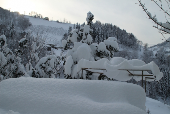 Aasar Vadisinde K,dorukkiri/trabzon