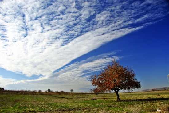 Kapadokya Krsal.