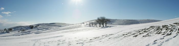 Panorama Beyaz