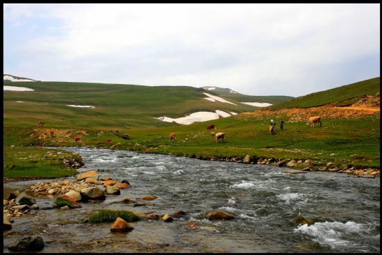 Yayla obanlar...