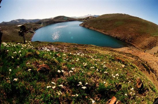 16mm le Erzincan Ardos Gl