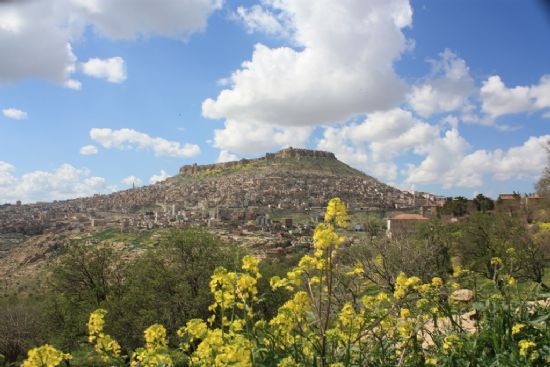 Mardin