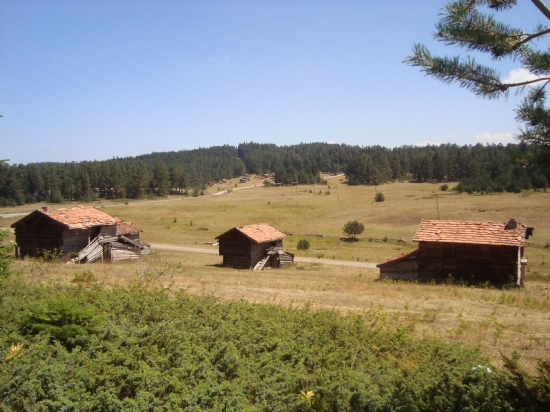 Yayla-ara