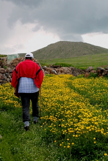 Yayla