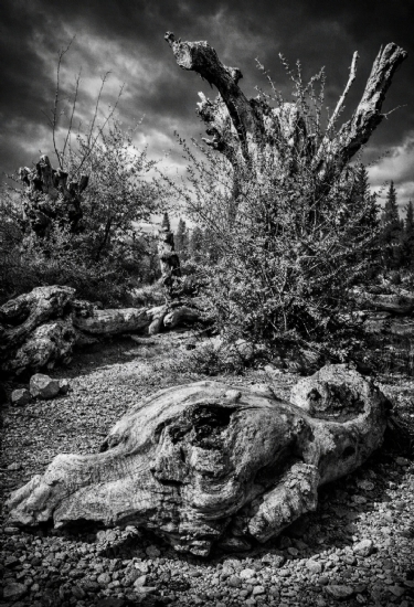 Do�a’n�n ���l���...