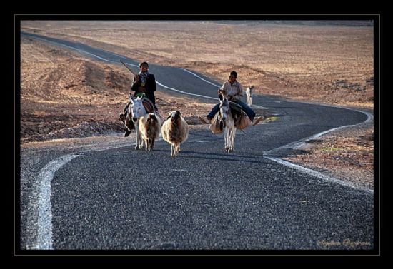 Mardin Yaamdan