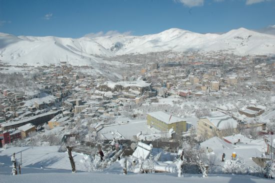 Bitlis Merkez Kararka Teslim