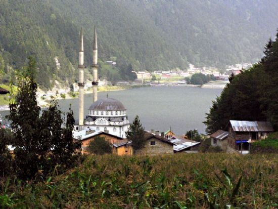 Uzungl