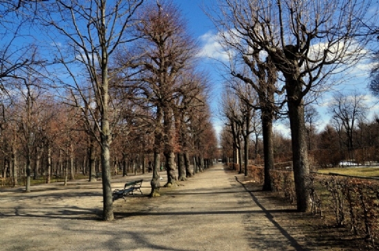 Viyana Schnbrunn Bahesi’nden