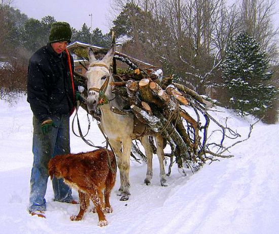 Mehmet Ve Ekibi