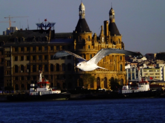 Mart Ve Haydarpaa