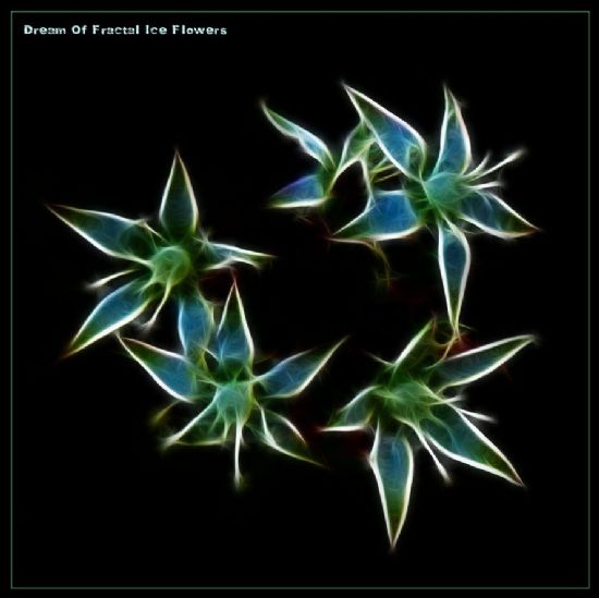 Dream Of Fractal Ice Flowers