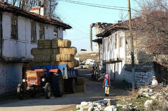 Zeus A Komu Yaamlar...