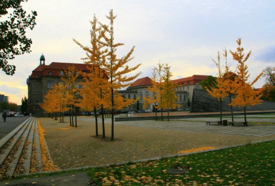 Berlin’de Sonbahar