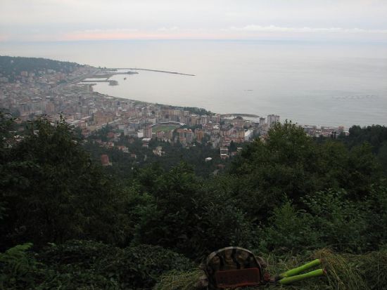 Rize....
