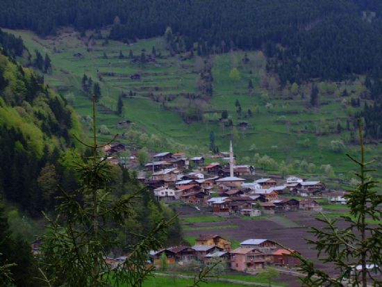 Uzungl (zeli66  Ablama)