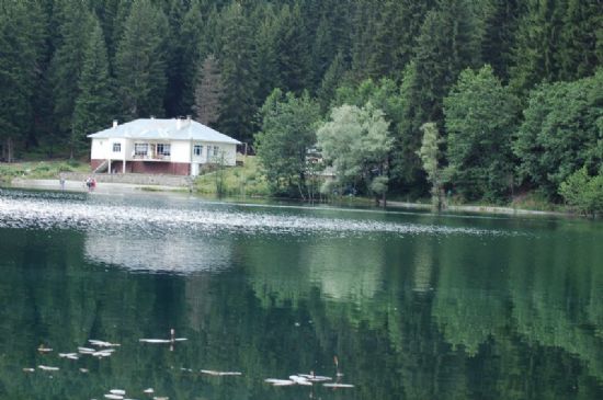 Artvins Avsat Karag�l