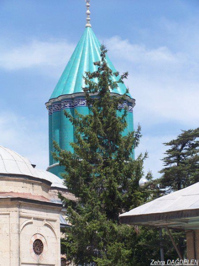 Mevlana Trbesi