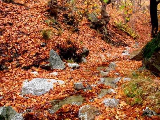 Buldan Kestane Deresi