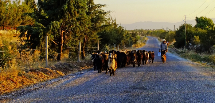 Zamane oban Ve Keileri