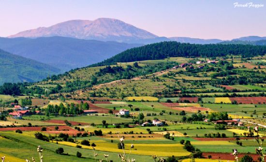 Kastamonu Kareleri..