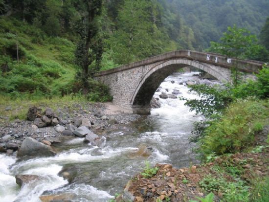 Trabzon Yolu