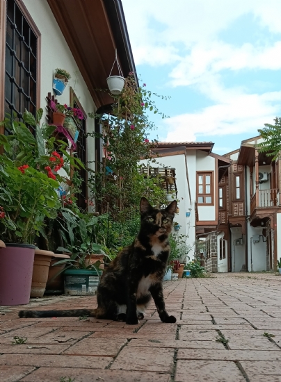 Eski Ankara