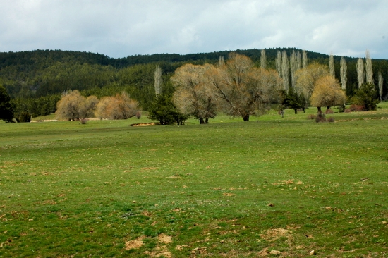 Koca Yayla, ivril