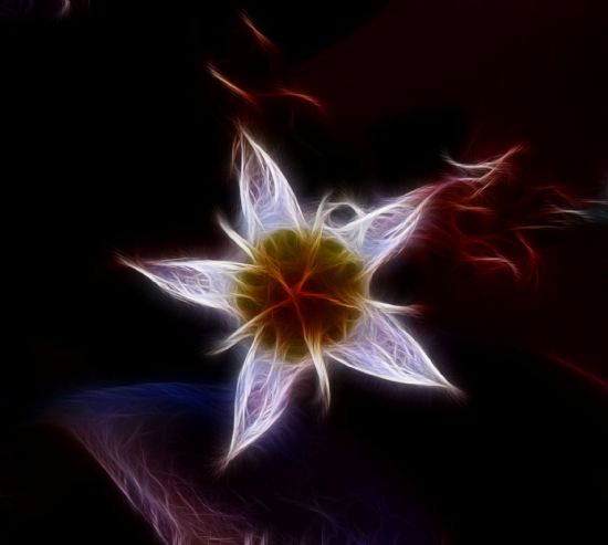 Dream Of Mandelbrot’s Attractive Flower