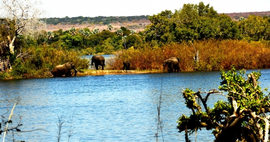 Zambezi Nehiri.