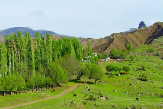 Şebinkarahisar / Karşıyaka