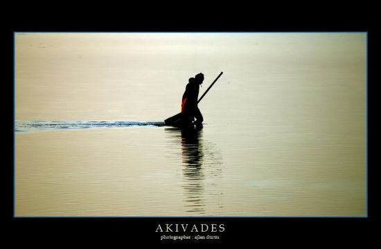 Akivades