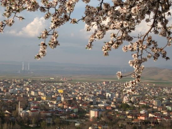 Bir Afin Manzaras 20. 04. 2009