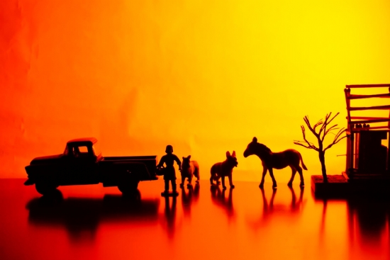 Miniciks Hayatlar ” Belyaz Sereniti ”