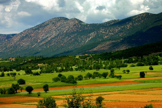 Gemi Da, ardak