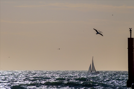 Fırtına İçinden Güneşe Doğru.....