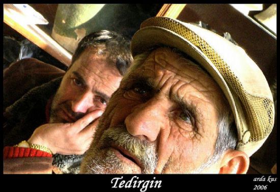 Tedirgin