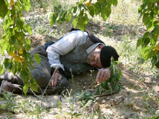 Topragin Koynunda Yasli Babam