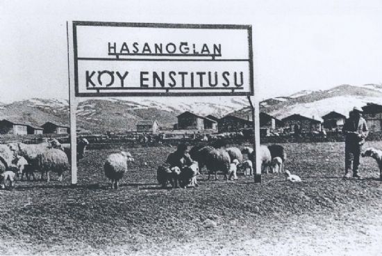Hasanolan Ky Enstits