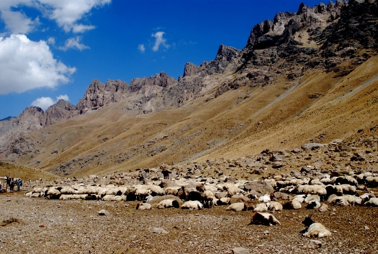 Hakkari Cilo Dalarnda Bir Sr