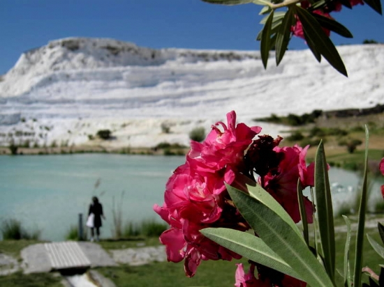 Zakkum iei Ve Pamukkale