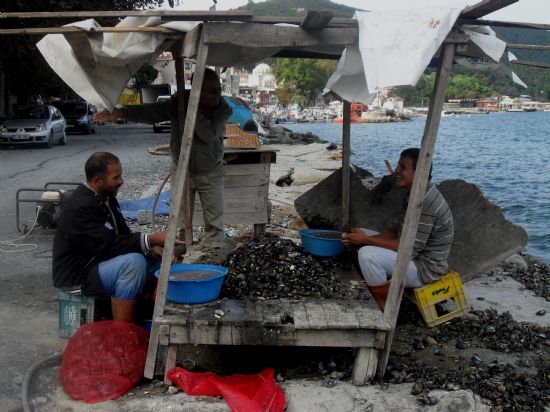 Rumeli Kavanda  Akhava Midye Atlyesi