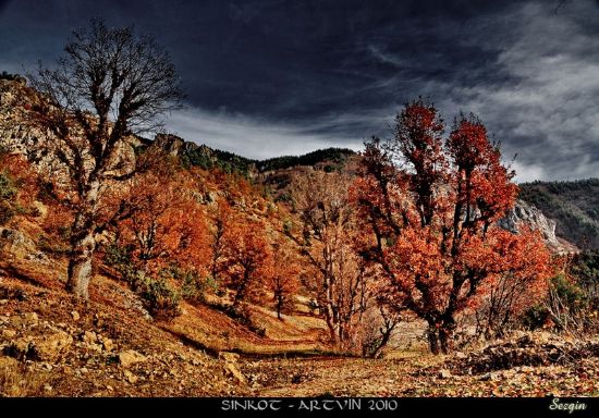 Artvin 2010