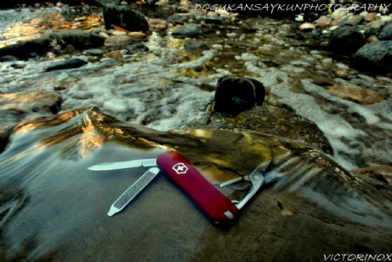 Victorinox