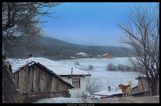 Bolu ’ Ericek ’