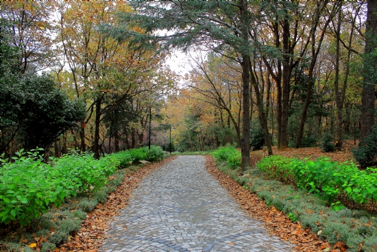 K���k �aml�ca