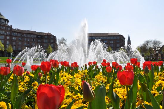 Wasserturm Mannheim