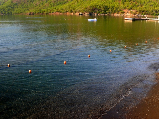 Deniz